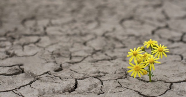 Psalm 23 – A psalm of David: A Message of&nbsp;Hope