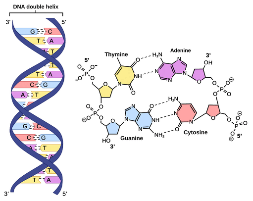 The Quranic Challenge to the Atheists: Make a Fly, if You&nbsp;Can