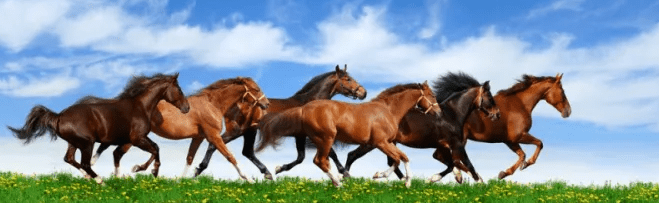 Prophet Solomon: ‘My love of fine things is part of my remembering my&nbsp;Lord!’