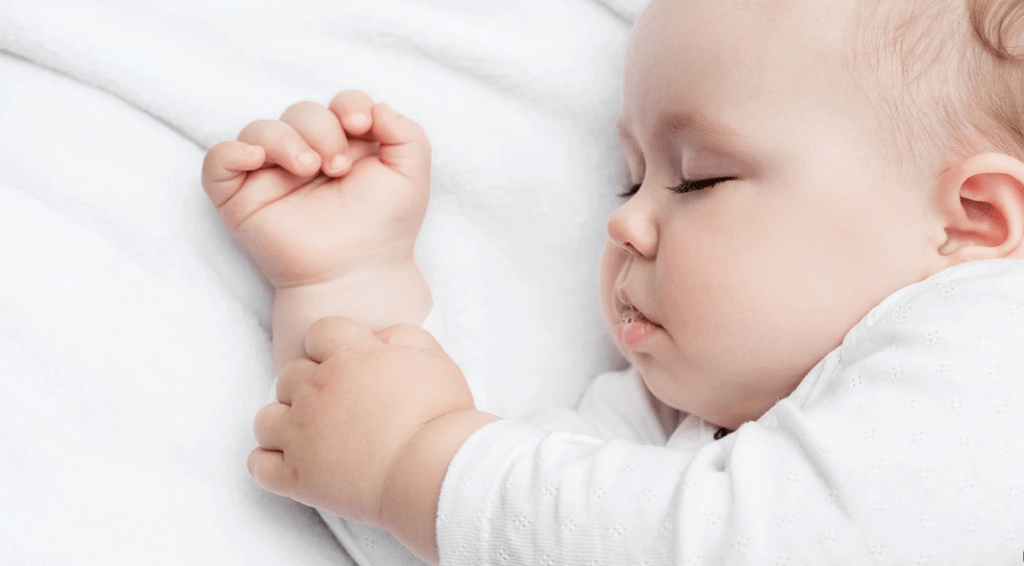 The Glorious Quran and the Mechanisms Preventing Sleep from Deepening into Hibernation, Coma, or&nbsp;Death