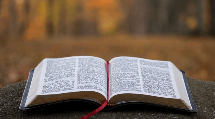 Demons and Exorcism in the Old and New Testaments and Why the Bible Needs to be Read in Light of&nbsp;Science