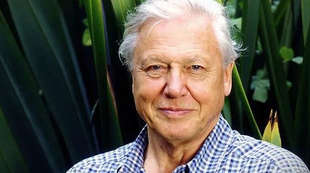 A Slight Twist Makes David Attenborough a Great Teacher for God of the Abrahamic&nbsp;Faiths