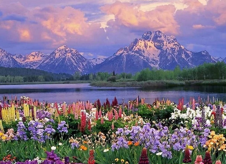 Qur’anic Botany, Agriculture, and the Ecology of&nbsp;Meaning