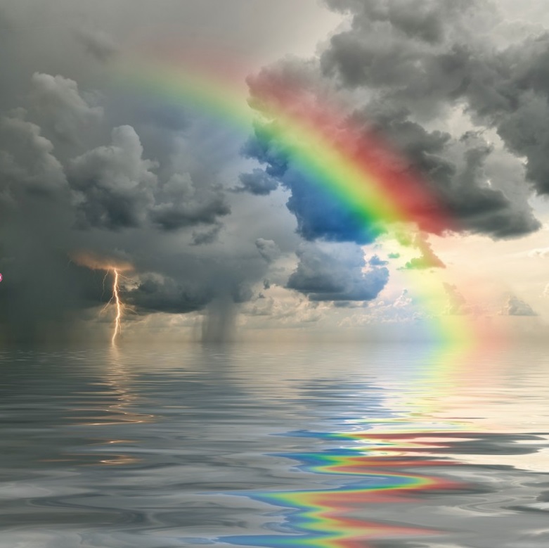 Rainfall, Lightning, and the Atmospheric Delivery of Nutrients and Trace Elements to&nbsp;Earth