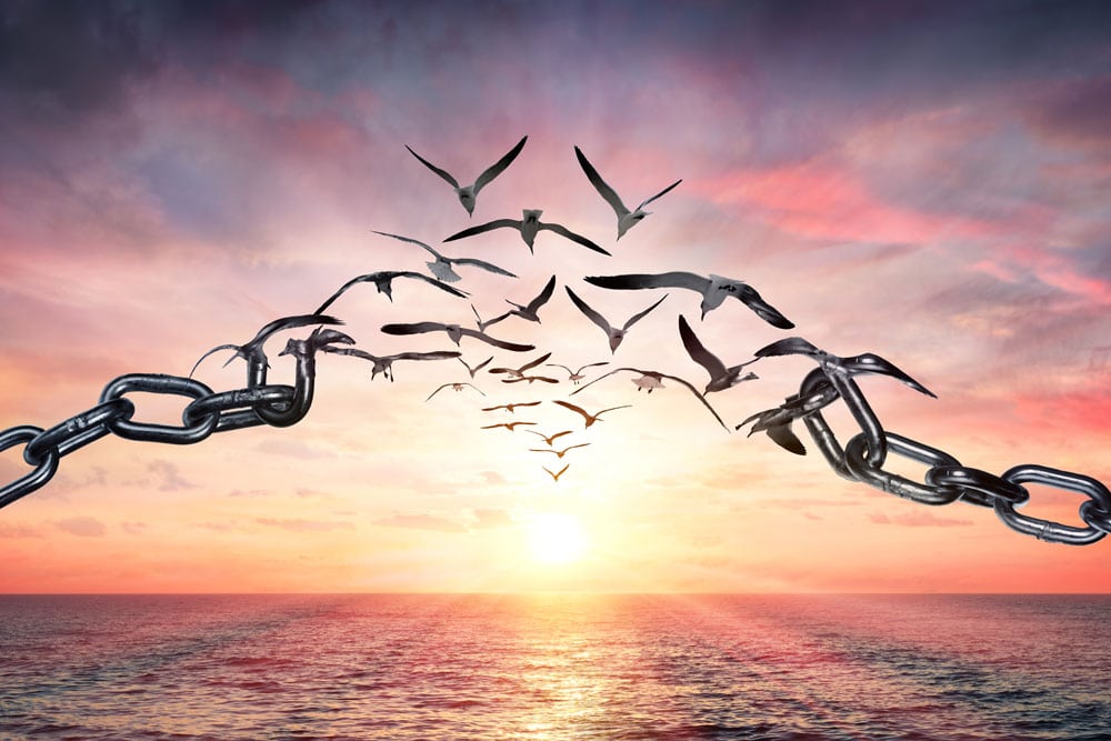 Honoring the Freedom God Bestowed: Compassion, Conscience, and Free Expression in&nbsp;Islam