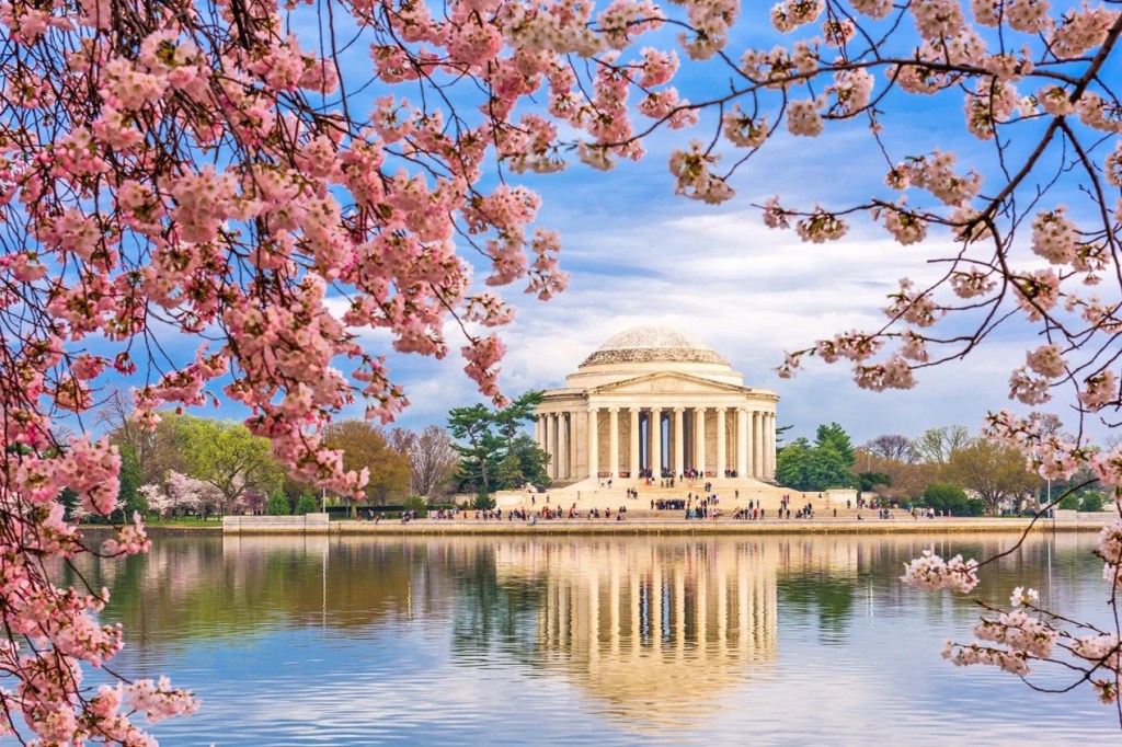 The Dissolution of the Dynastic Impulse: Primogeniture, Islamic Law, and the Jeffersonian Revolution in&nbsp;Inheritance