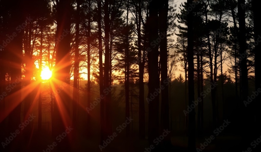 Quantum Witnesses of Occasionalism: Light, Entanglement, and Tunneling in Al-Ghazali’s&nbsp;Vision